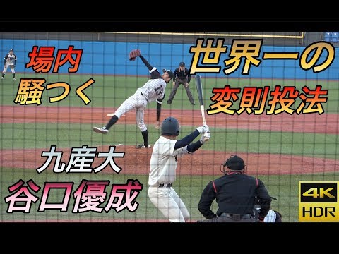 谷口優成（苅田ビクトリーズ） - 模擬ドラ選手名鑑wiki - atwiki