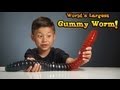 WORLD'S LARGEST GUMMY WORM vs. KID ...