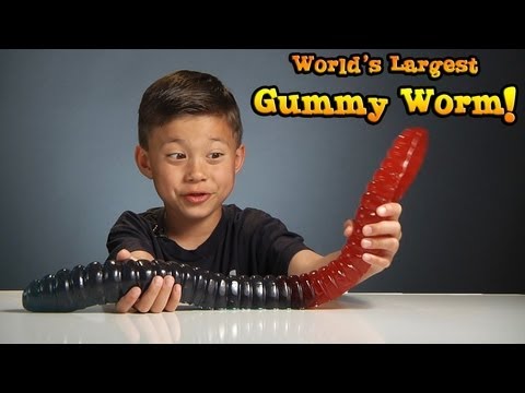 WORLD'S LARGEST GUMMY WORM vs. KID! Video