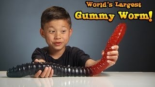 WORLD'S LARGEST GUMMY WORM vs. KID!