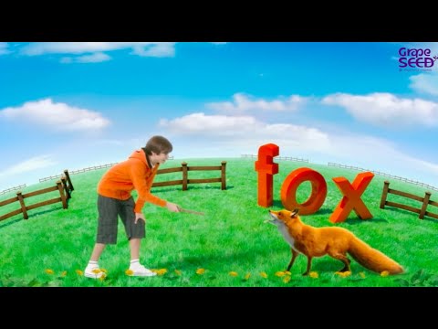 GrapeSEED Magic  - Orange