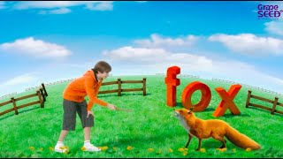 GrapeSEED Magic  - Orange