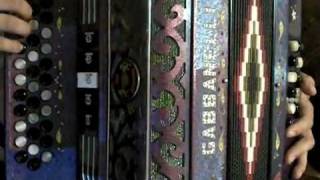 Mi Princesita - Pesado en acordeon