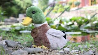 Plyšová kachna hnědá 19 cm ECO-FRIENDLY