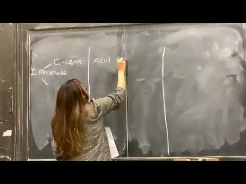 JAMI 2022, Angela Gibney: Vector bundles on the moduli space of curves from representations of VOAs