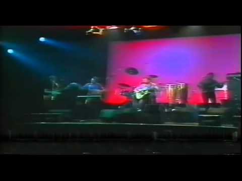 Moving Hearts live 1981
