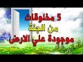 5 مخلوقات من الجنة موجودة على الارض الآن في العراق والسعودية ومصر والسودان ... تعرف عليها كاملة mp3 5 مخلوقات من الجنة موجودة على الارض الآن في العراق والسعودية ومصر والسودان ... تعرف عليها كاملة mp3
