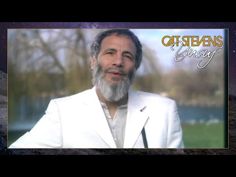 Yusuf / Cat Stevens – Midday (Avoid City After Dark) [Official Music Video] | An Other Cup