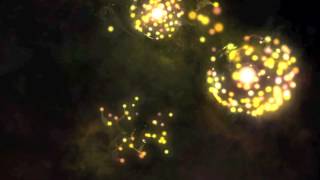 Life Of Pi 06: Thank You Vishnu For Introducing Me To Christ