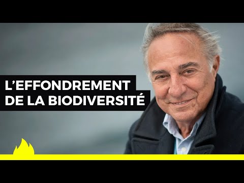 L'extinction de masse la plus importante depuis celle des dinosaures - Allain Bougrain-Dubourg