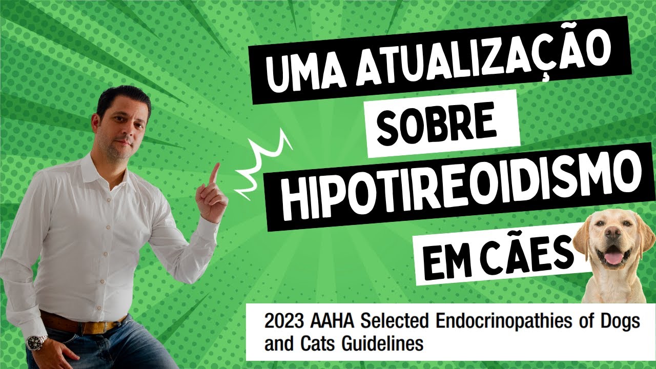 Uma atualização sobre hipotireoidismo em cães