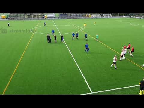 N1 Ilves/2 - VJS 080821 16.00