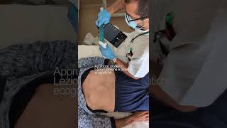 Scuola di specializzazione in Geriatria