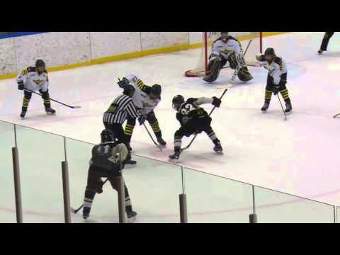 Uplandia Trophy 2016 SDE Svart - Wings