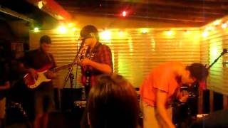 Miniature Tigers-Coyote Enchantmant