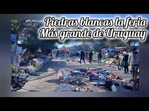 #piedrasblancas la  feria más  peligrosa ?? Y la más grande de 🇺🇾🇺🇾