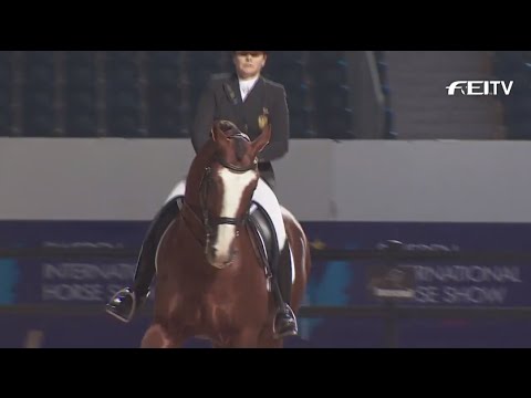 Reem Acra FEI World Cup™ Dressage 2014/15 + FEI World Cup™ Driving 2014/15 - Stockholm Preview