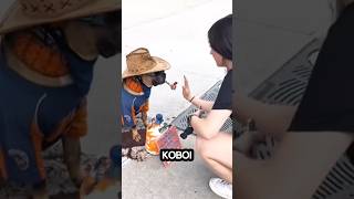 Download lagu How come this dog understands money? #shorts #shortviral #shortvideo mp3 Download lagu How come this dog understands money? #shorts #shortviral #shortvideo mp3