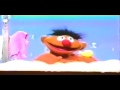 Ernie Rubber Ducky
