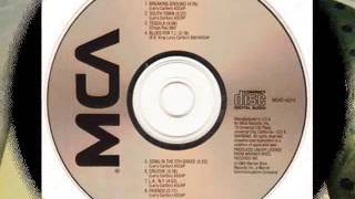 HOMENAJE A DON ROBERTO MORALES Y SU JAZZ FM   LARRY CARLTON   TEQUILA