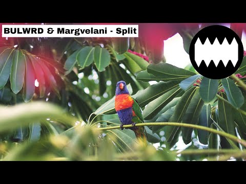 BULWRD & Margvelani - Split