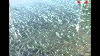 Tourists in China horrified as glass bridge cracks