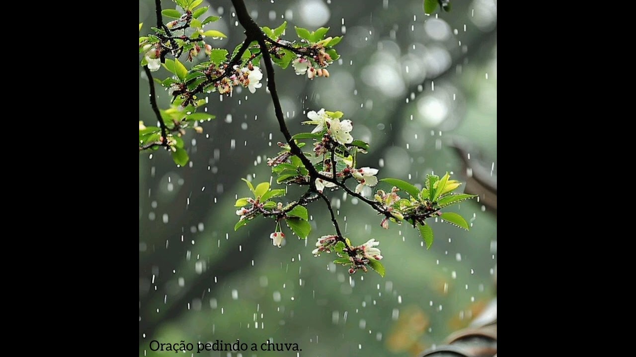 Oração pedindo a chuva! #chuva #igrejacatólica