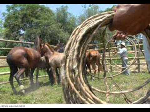 FG  Mi Nostalgia en Una Soga - Dámaso Figueredo