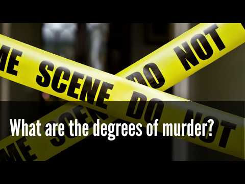 What are the degrees of murder?