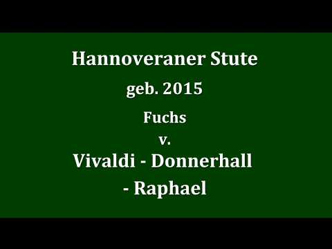 Hann. Stute v. Vivaldi, geb.2015