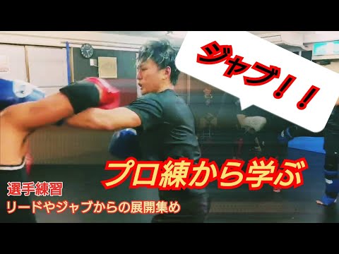 ＜トイカツ選手練から＞リードやジャブの展開まとめ　日常練習動画集　打撃練習　キックボクシング