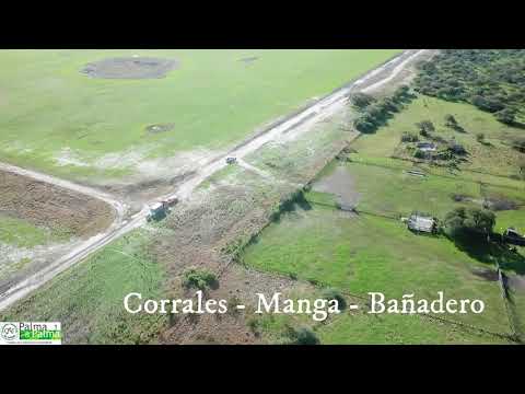 3 550 has San Luis de Las Mulas - Dto Feliciano