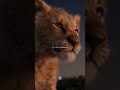 Brother Anthem Status Motivation Video Status Shorts Brother Success Motivationvideos