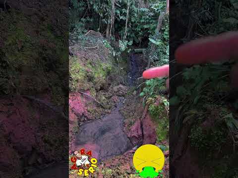 VEJA PORQUE O PARQUE DO ESGOTOLOGICO NÃO DEU CERTO EM JUQUITIBA NA CIDADE QUE NÃO DEU CERTO