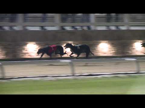 2020.10.02. 02. futam - European Derby Select Stake S0/S1