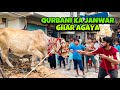 ALHAMDULILLAH APNI QURBANI KA JANWAR LE LIA MANDI VLOG BAKRA EID MISHKAT KHAN