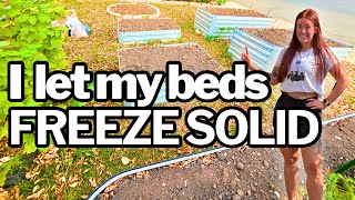 Why I Stop Protecting My Soil Before Winter (And You Might Want To Too)