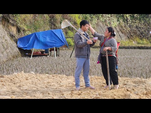 Ly Dao Hoa's dream, and with Duc's help, Ly Dao Hoa's new house is gradually being completed