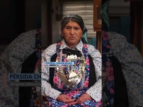 Voces para Chile: Pérsida Cheuquenao, Gorbea, La Araucanía #shorts