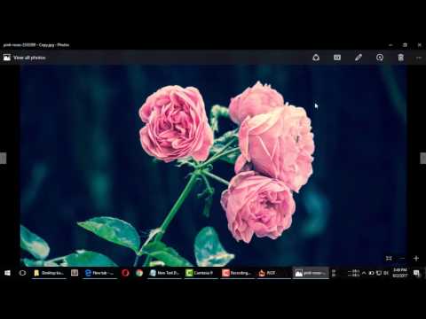How to Reduce JPEG File Size