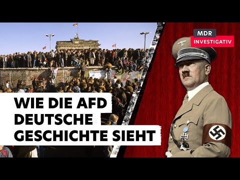 Nationalsozialismus und DDR – Wie die AfD die deutsche Geschichte politisch nutzt | Doku