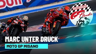 Marc unter Druck & italienische Fans außer Rand und Band | MotoGP Talk Misano