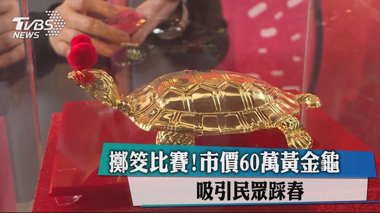 擲筊比賽!市價60萬元黃金龜 吸引民眾踩春