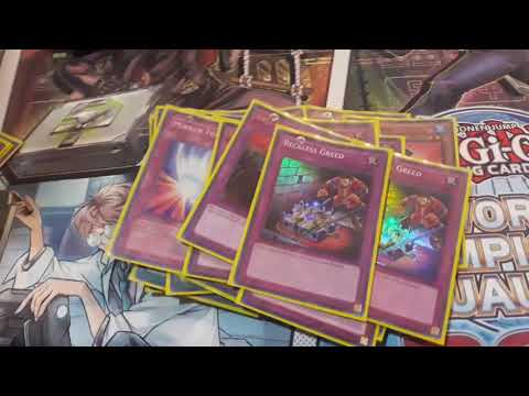 Paleofrog Antofagasta CH 1st Place