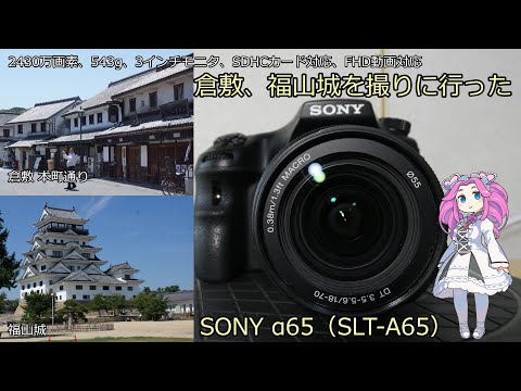 Video thumbnail for Video Review 3