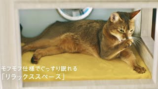 三菱地所レジデンス猫タワマン PR動画