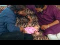 Episode 383 Chakravakam Telugu Daily Serial Loud Speaker