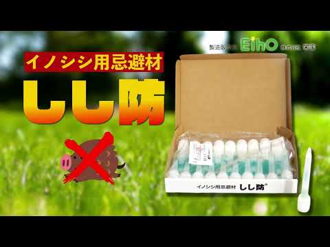 イノシシを庭から遠ざける方法 毛 尿 シリカ タルク 天然のヒント