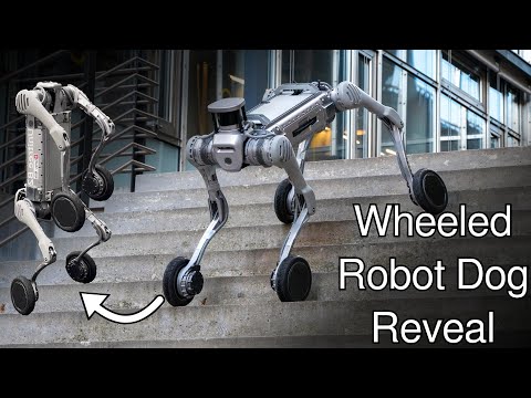 Swiss-Mile Review Video 2