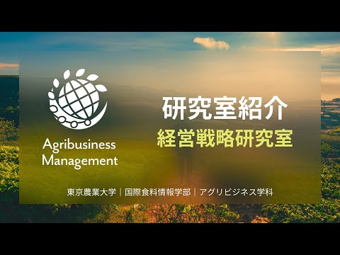 経営戦略研究室